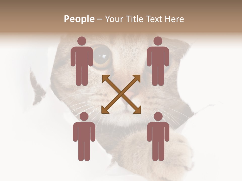 A Cat Peeking Through A Hole In A Paper PowerPoint Template