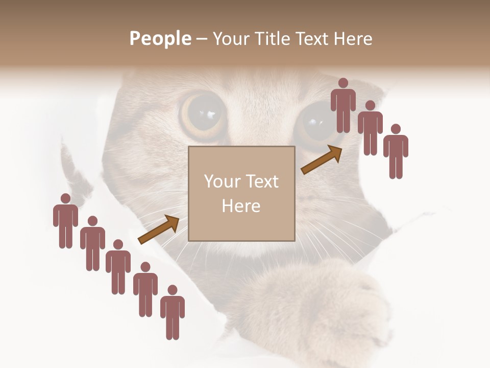 A Cat Peeking Through A Hole In A Paper PowerPoint Template
