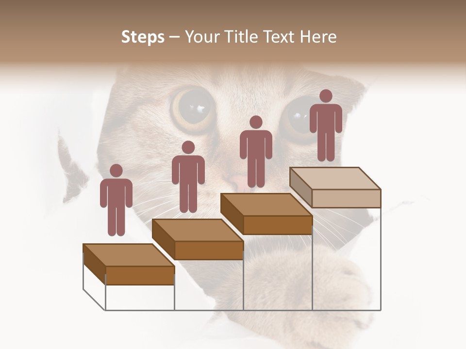 A Cat Peeking Through A Hole In A Paper PowerPoint Template