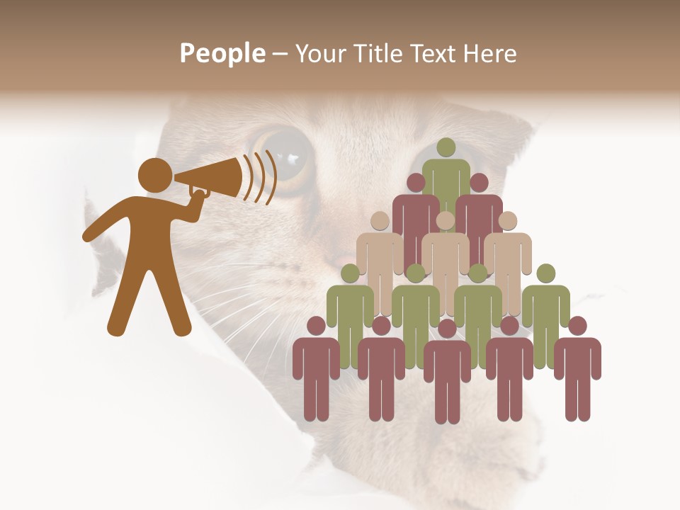 A Cat Peeking Through A Hole In A Paper PowerPoint Template