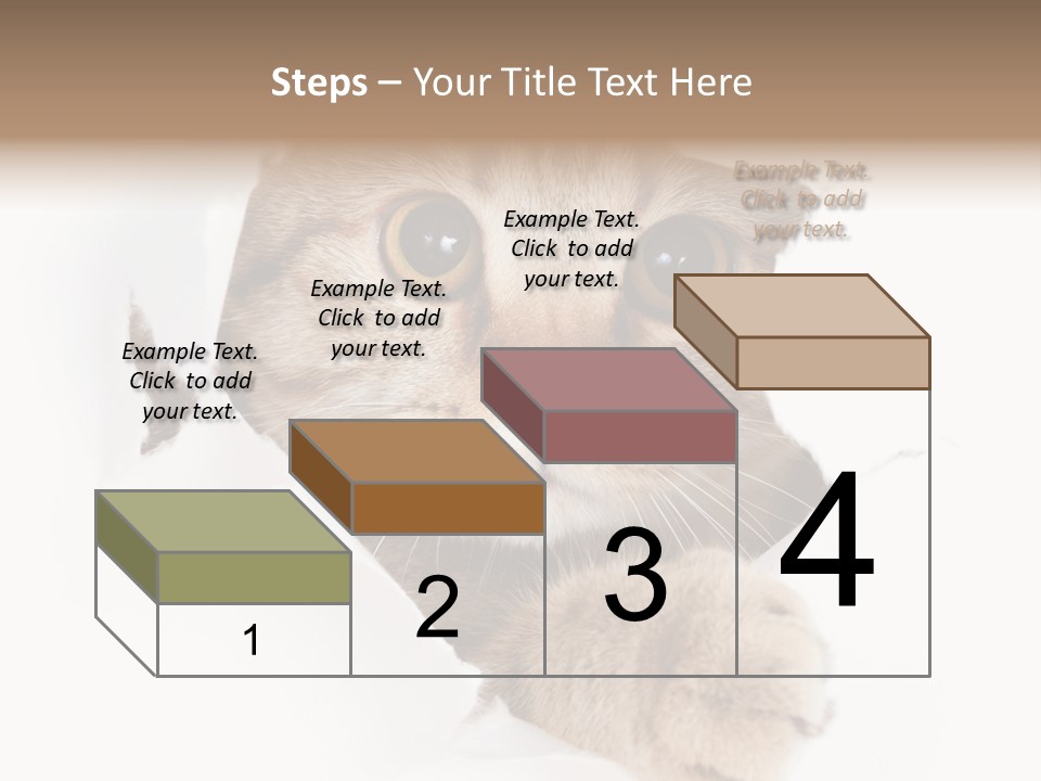 A Cat Peeking Through A Hole In A Paper PowerPoint Template
