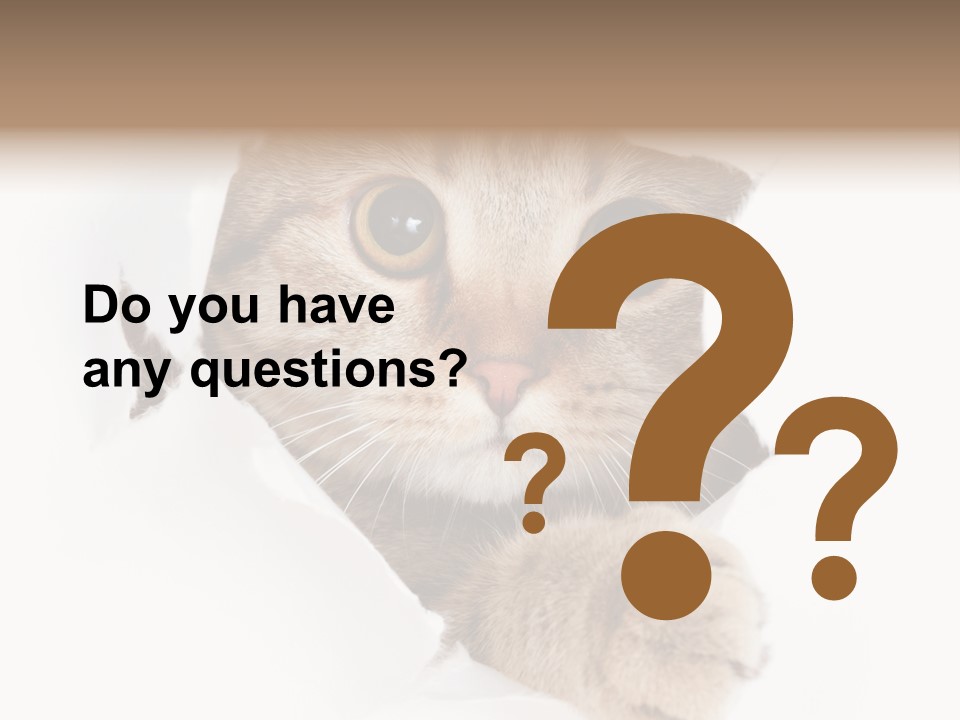 A Cat Peeking Through A Hole In A Paper PowerPoint Template