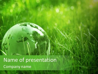 A Green Globe In The Grass Powerpoint Template PowerPoint Template