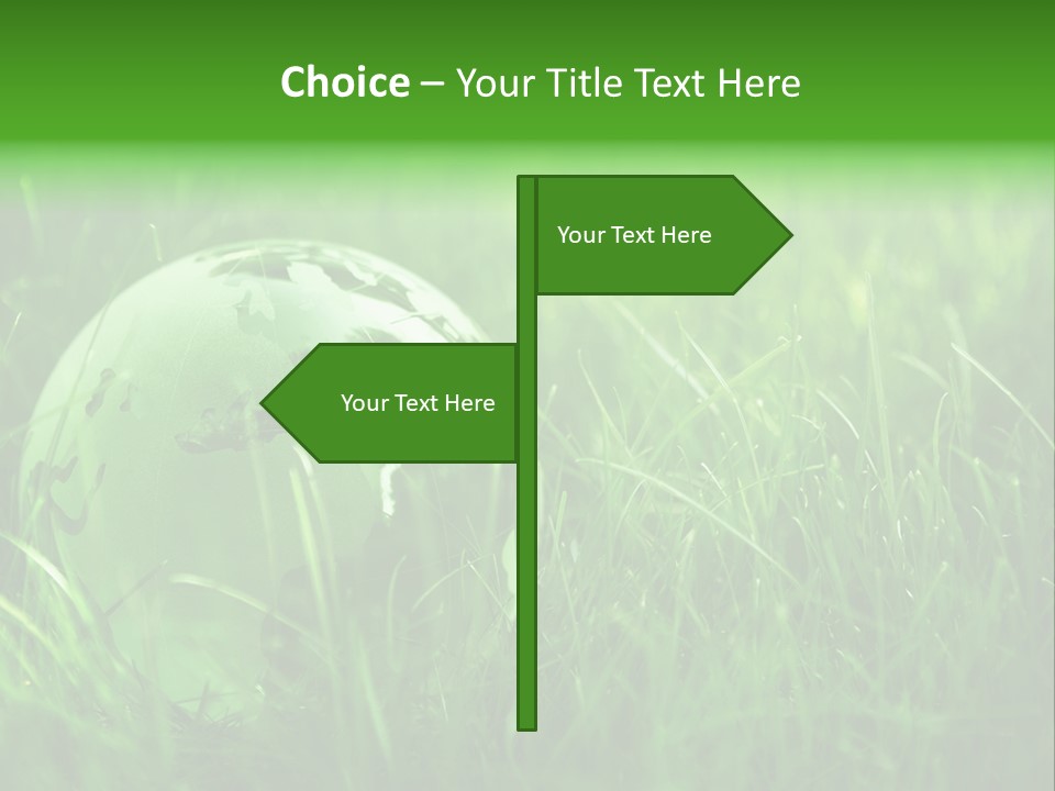 A Green Globe In The Grass Powerpoint Template PowerPoint Template