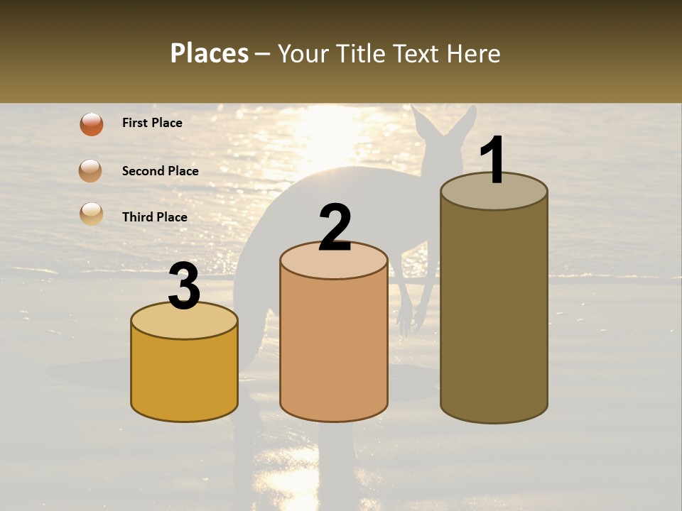 A Kangaroo Standing On A Beach At Sunset PowerPoint Template