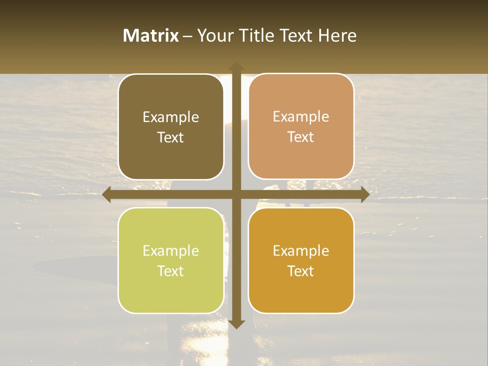 A Kangaroo Standing On A Beach At Sunset PowerPoint Template