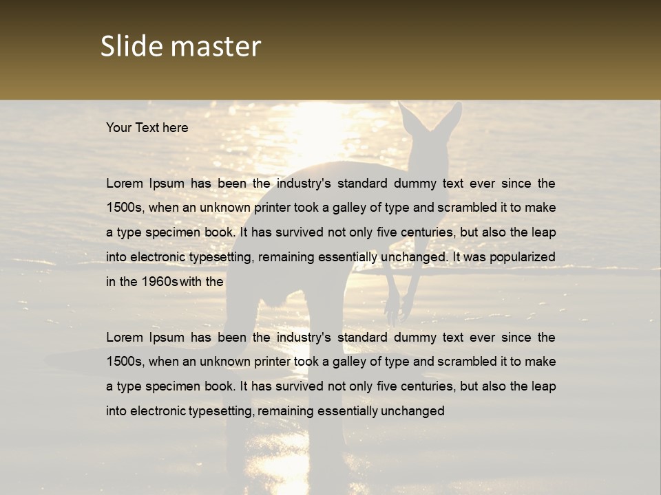 A Kangaroo Standing On A Beach At Sunset PowerPoint Template