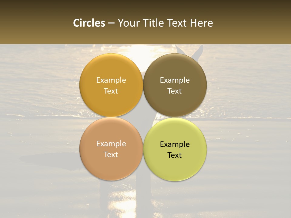 A Kangaroo Standing On A Beach At Sunset PowerPoint Template