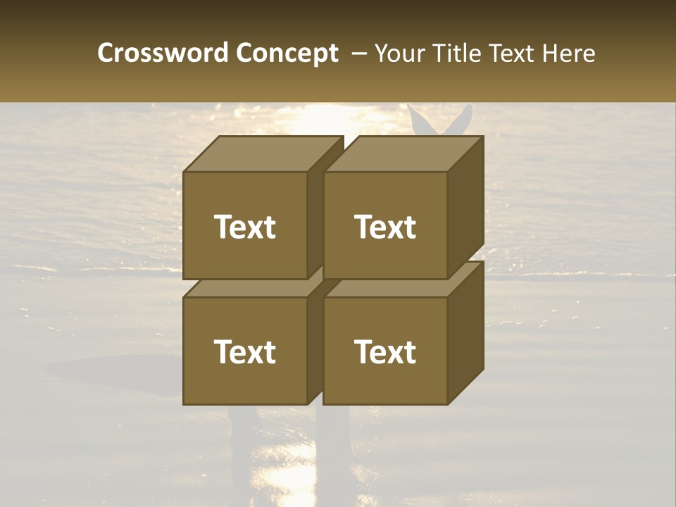 A Kangaroo Standing On A Beach At Sunset PowerPoint Template