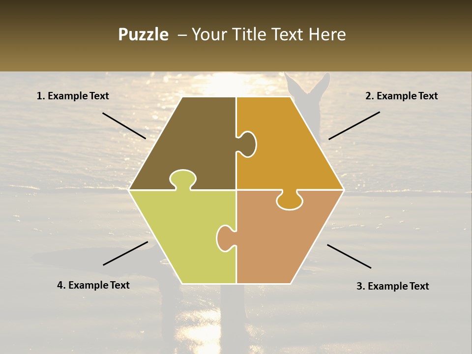 A Kangaroo Standing On A Beach At Sunset PowerPoint Template