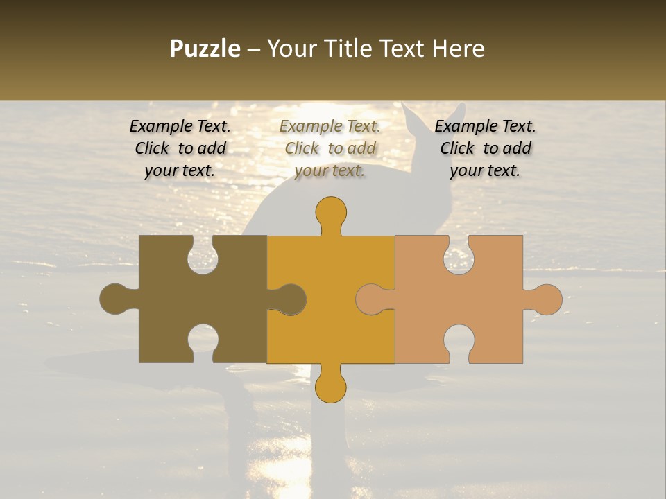 A Kangaroo Standing On A Beach At Sunset PowerPoint Template