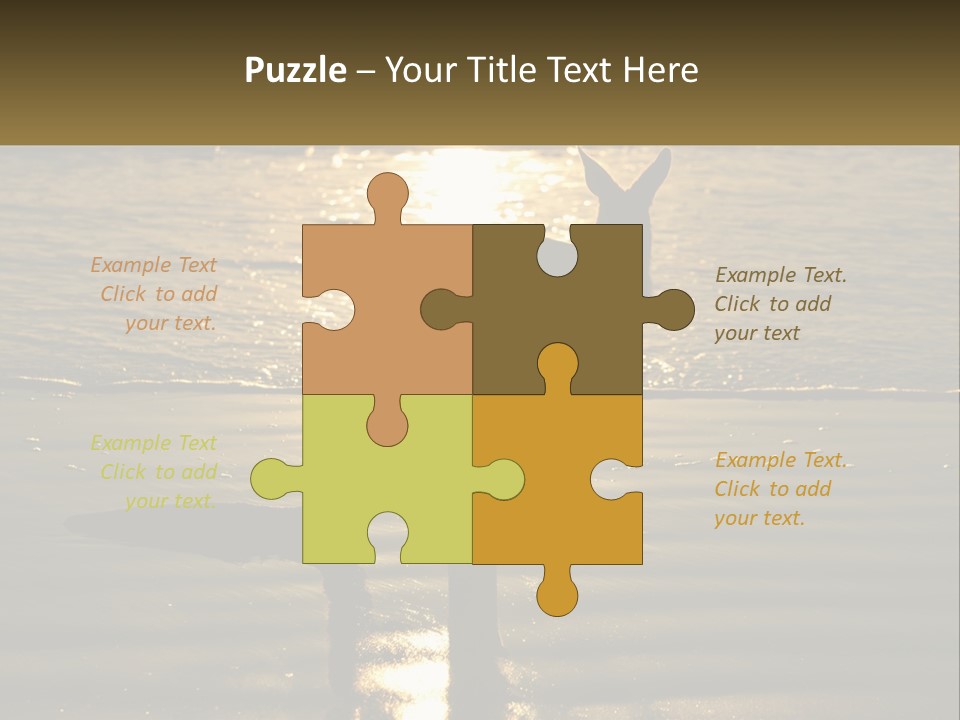 A Kangaroo Standing On A Beach At Sunset PowerPoint Template