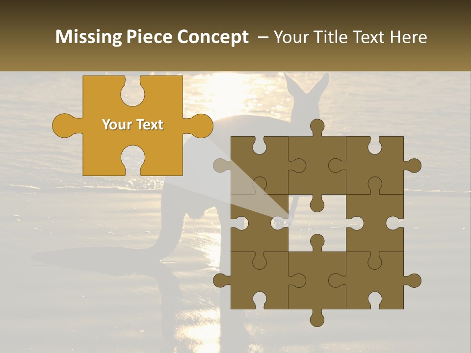 A Kangaroo Standing On A Beach At Sunset PowerPoint Template