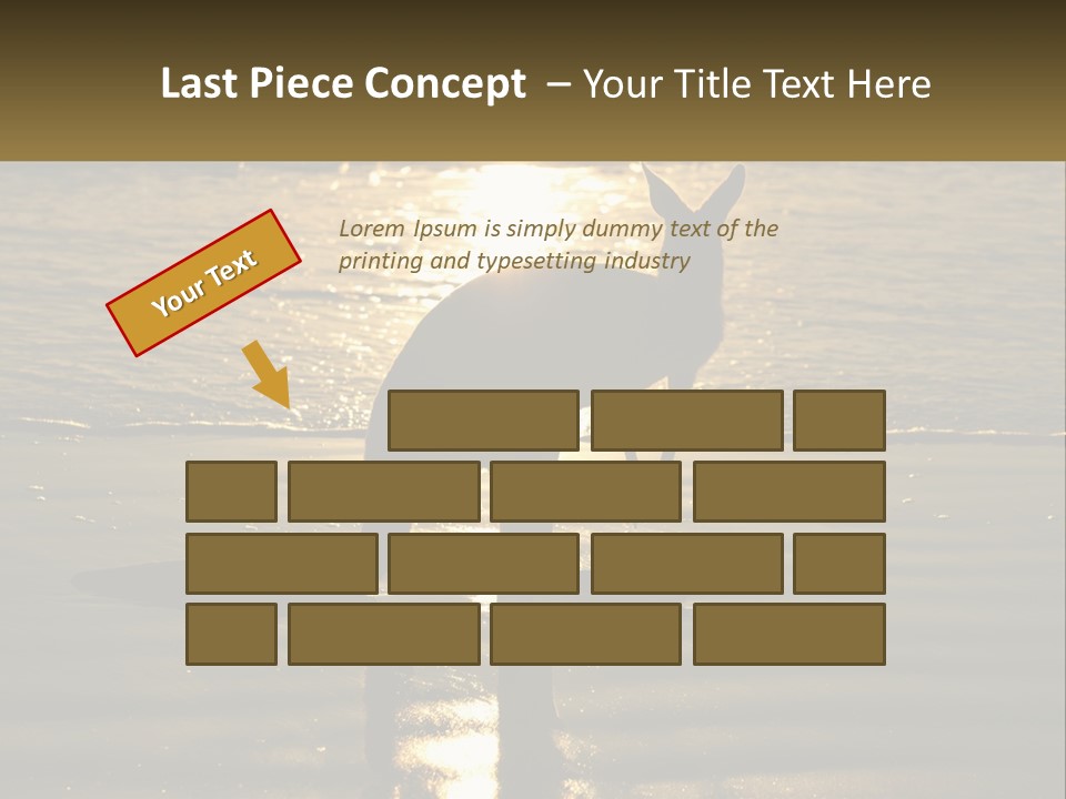 A Kangaroo Standing On A Beach At Sunset PowerPoint Template