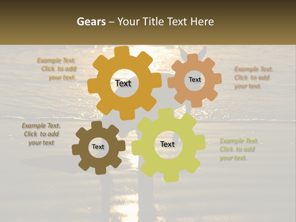 A Kangaroo Standing On A Beach At Sunset PowerPoint Template