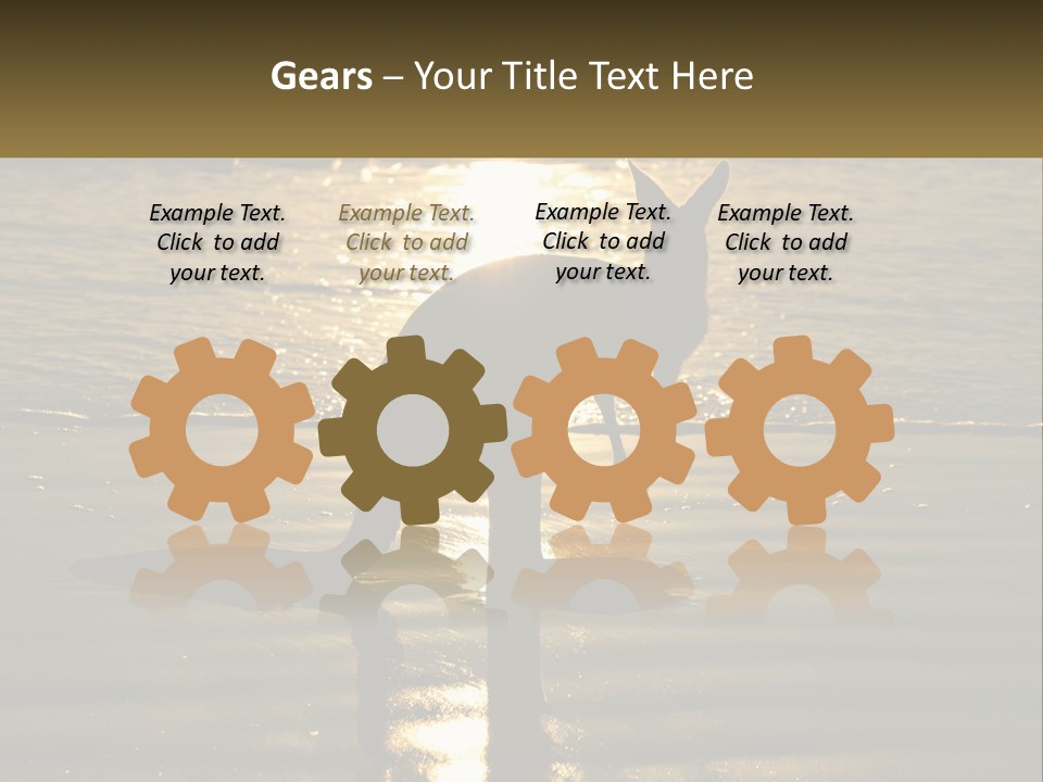 A Kangaroo Standing On A Beach At Sunset PowerPoint Template