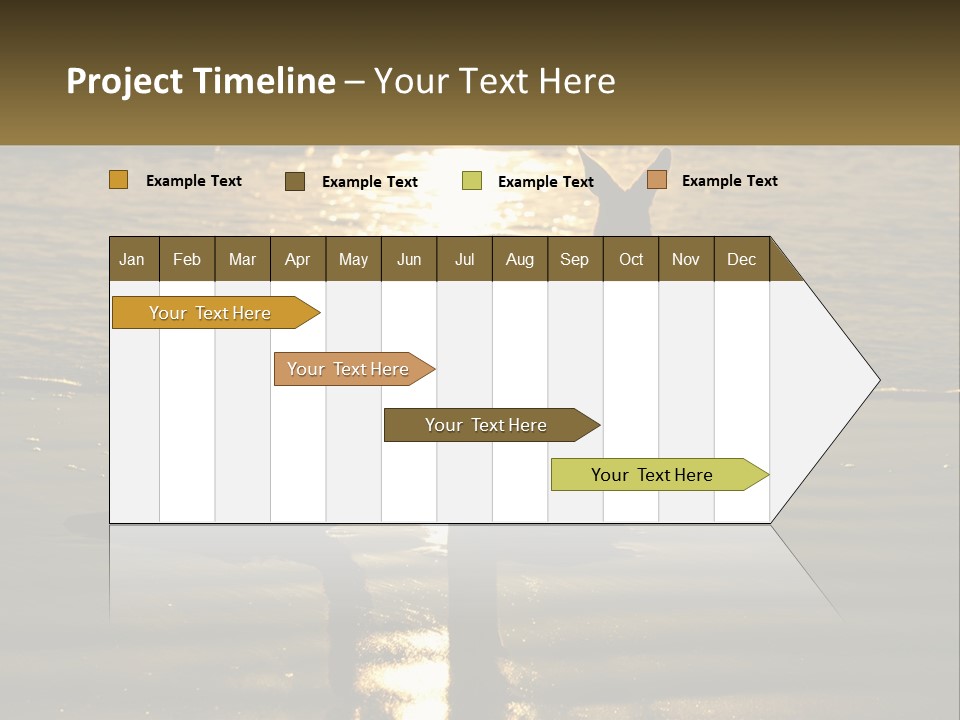 A Kangaroo Standing On A Beach At Sunset PowerPoint Template