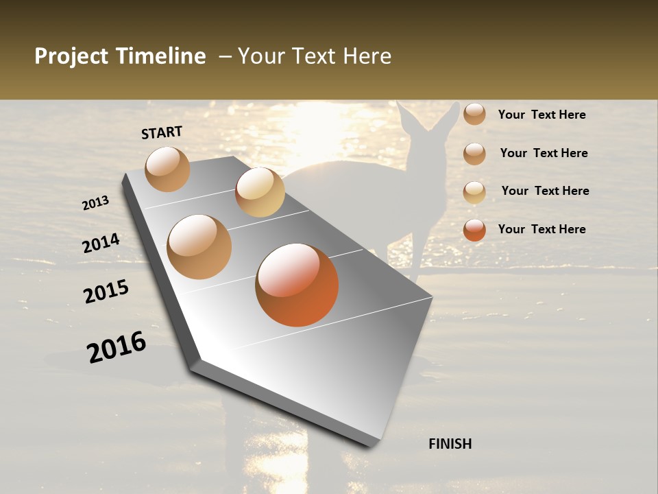 A Kangaroo Standing On A Beach At Sunset PowerPoint Template