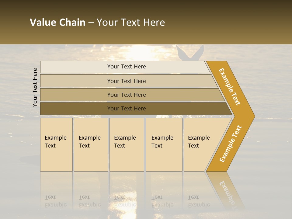 A Kangaroo Standing On A Beach At Sunset PowerPoint Template