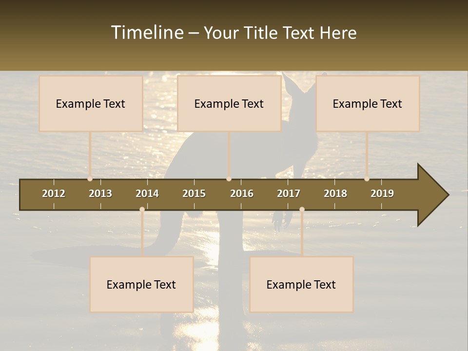 A Kangaroo Standing On A Beach At Sunset PowerPoint Template