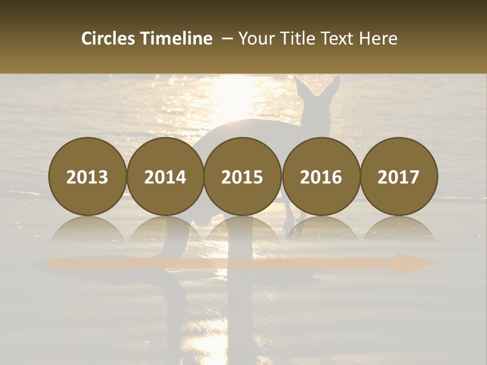 A Kangaroo Standing On A Beach At Sunset PowerPoint Template