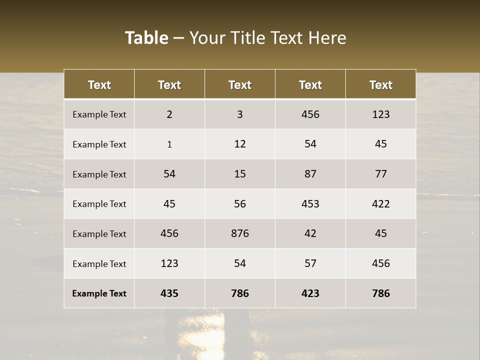 A Kangaroo Standing On A Beach At Sunset PowerPoint Template