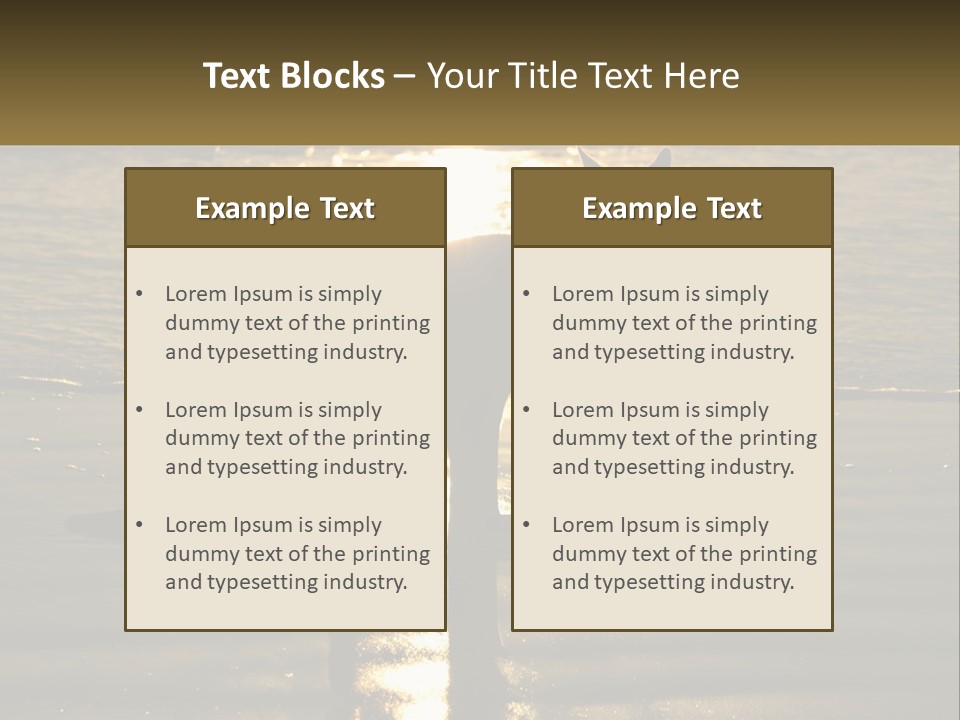 A Kangaroo Standing On A Beach At Sunset PowerPoint Template