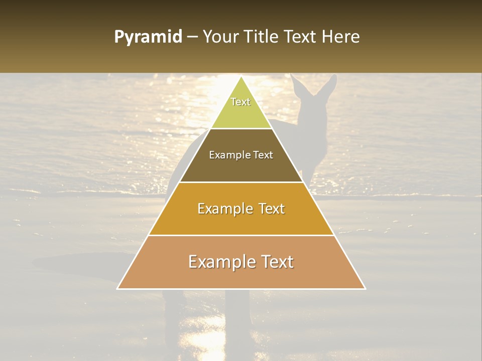 A Kangaroo Standing On A Beach At Sunset PowerPoint Template