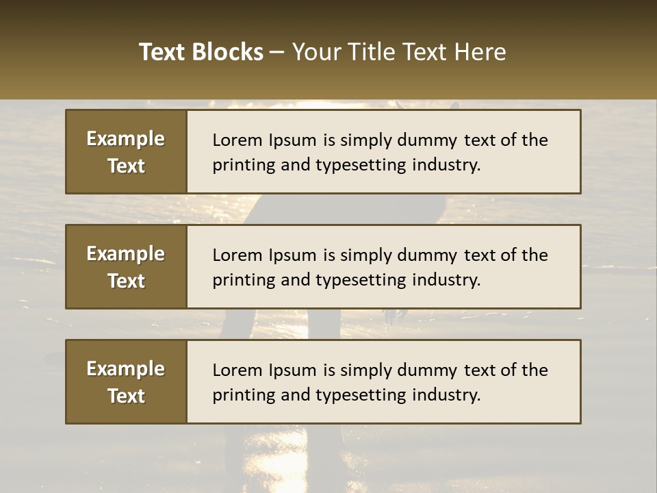 A Kangaroo Standing On A Beach At Sunset PowerPoint Template