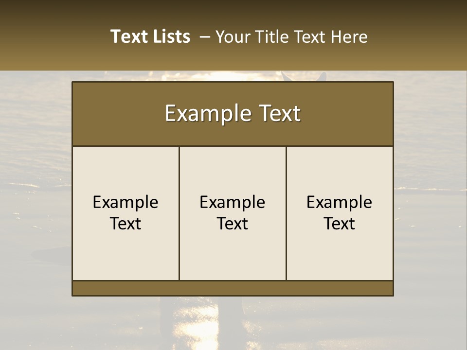 A Kangaroo Standing On A Beach At Sunset PowerPoint Template