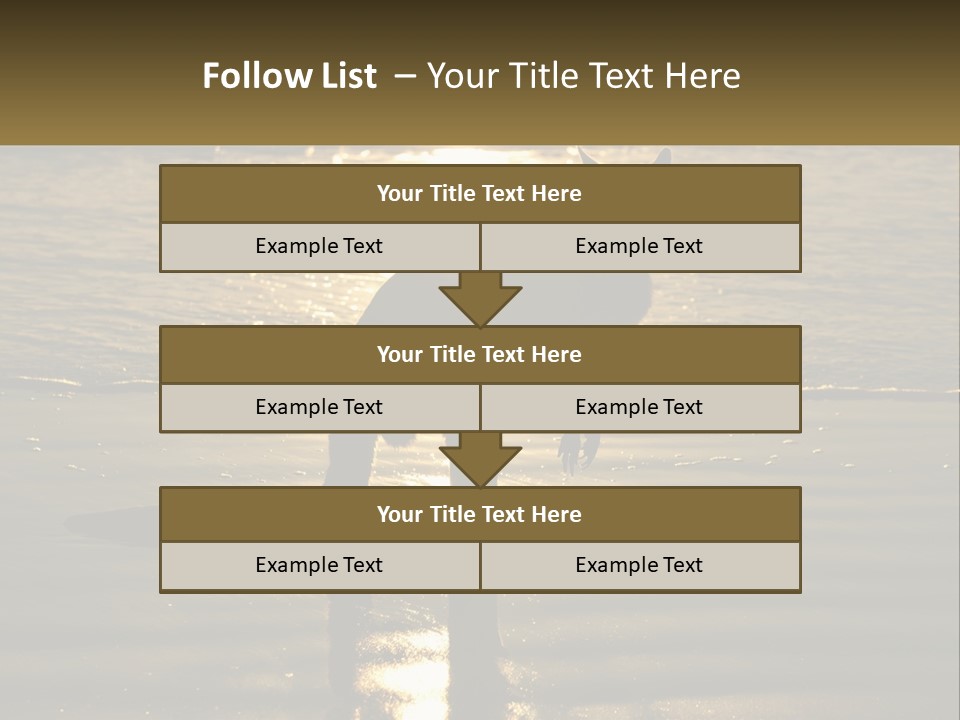 A Kangaroo Standing On A Beach At Sunset PowerPoint Template