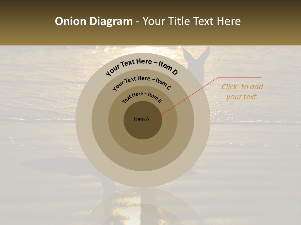 A Kangaroo Standing On A Beach At Sunset PowerPoint Template