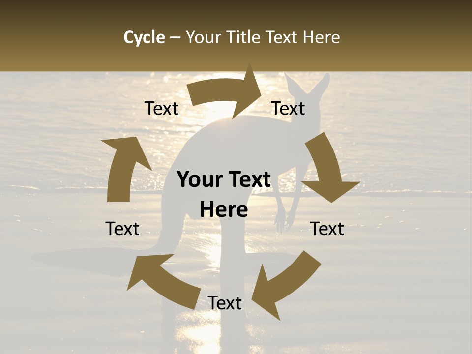 A Kangaroo Standing On A Beach At Sunset PowerPoint Template