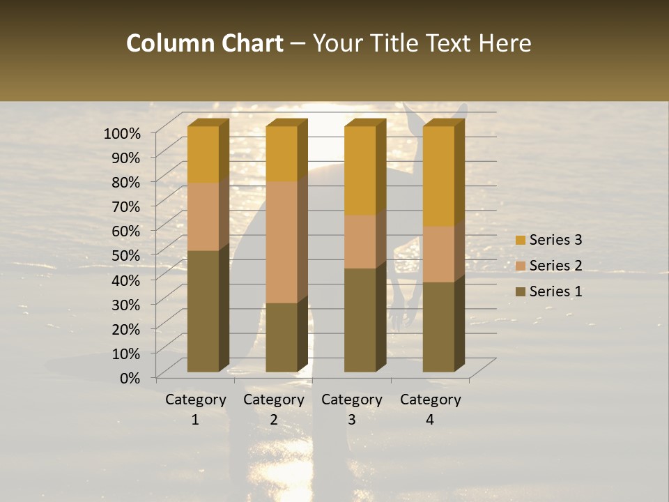 A Kangaroo Standing On A Beach At Sunset PowerPoint Template