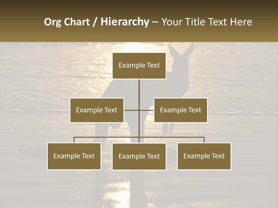 A Kangaroo Standing On A Beach At Sunset PowerPoint Template