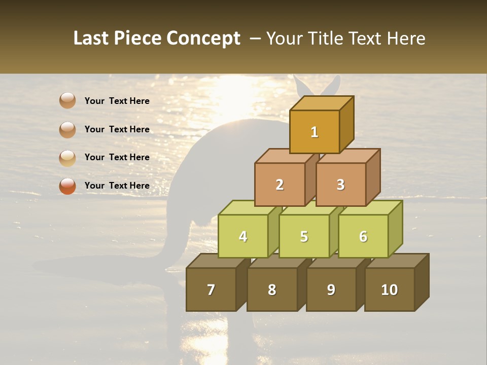 A Kangaroo Standing On A Beach At Sunset PowerPoint Template