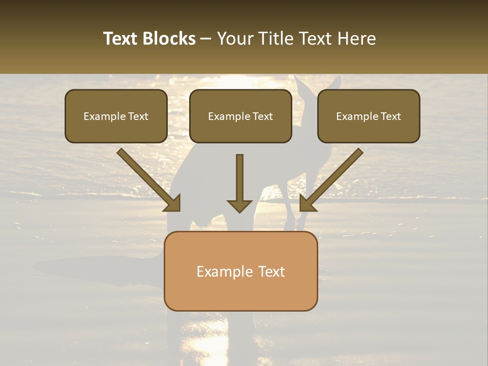 A Kangaroo Standing On A Beach At Sunset PowerPoint Template