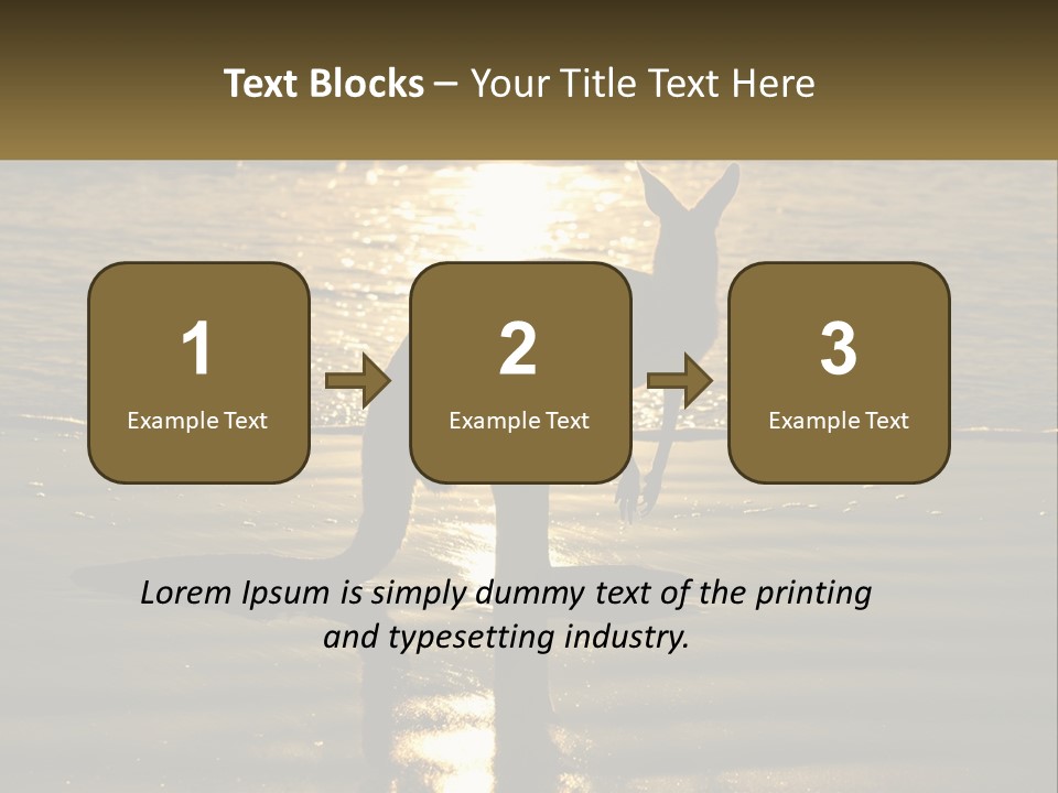 A Kangaroo Standing On A Beach At Sunset PowerPoint Template