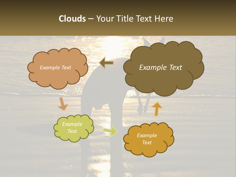 A Kangaroo Standing On A Beach At Sunset PowerPoint Template