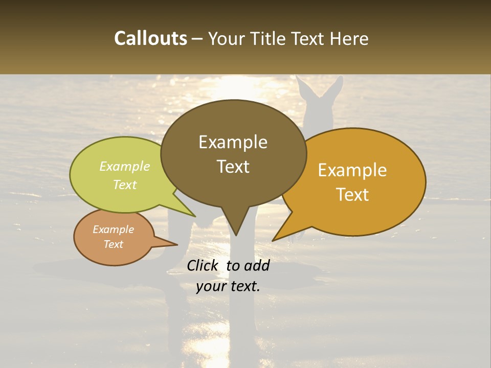 A Kangaroo Standing On A Beach At Sunset PowerPoint Template