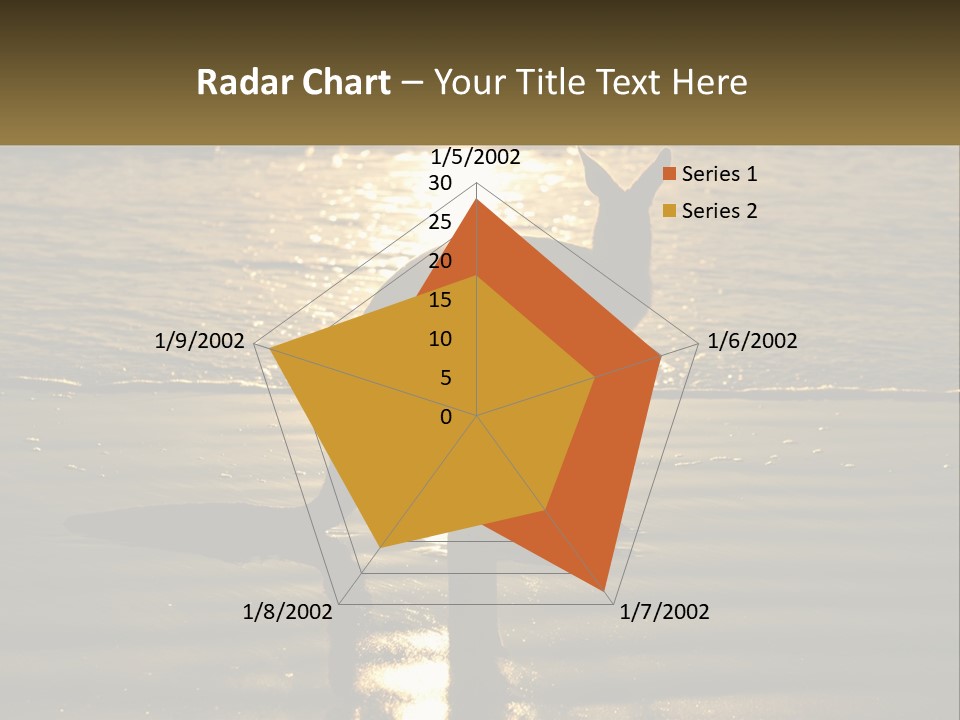 A Kangaroo Standing On A Beach At Sunset PowerPoint Template