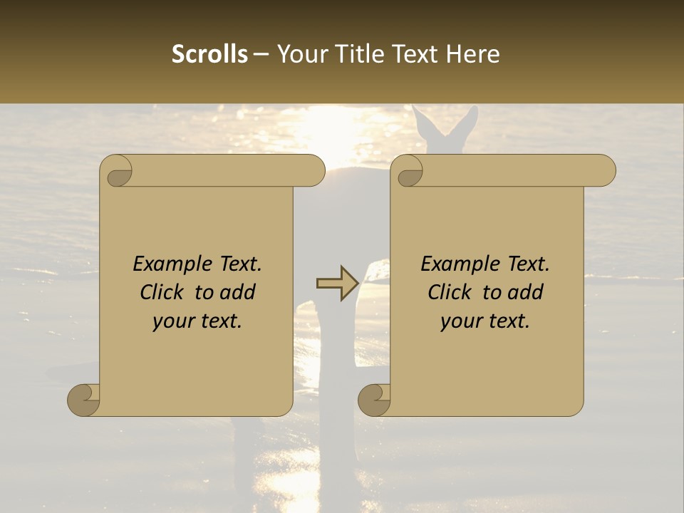 A Kangaroo Standing On A Beach At Sunset PowerPoint Template