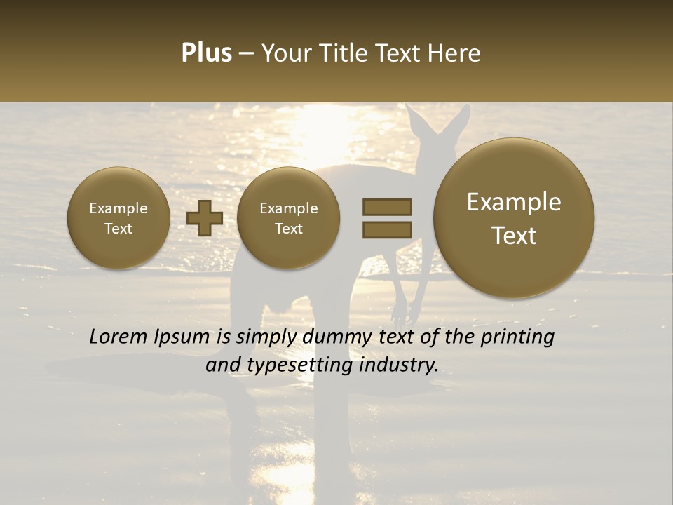 A Kangaroo Standing On A Beach At Sunset PowerPoint Template