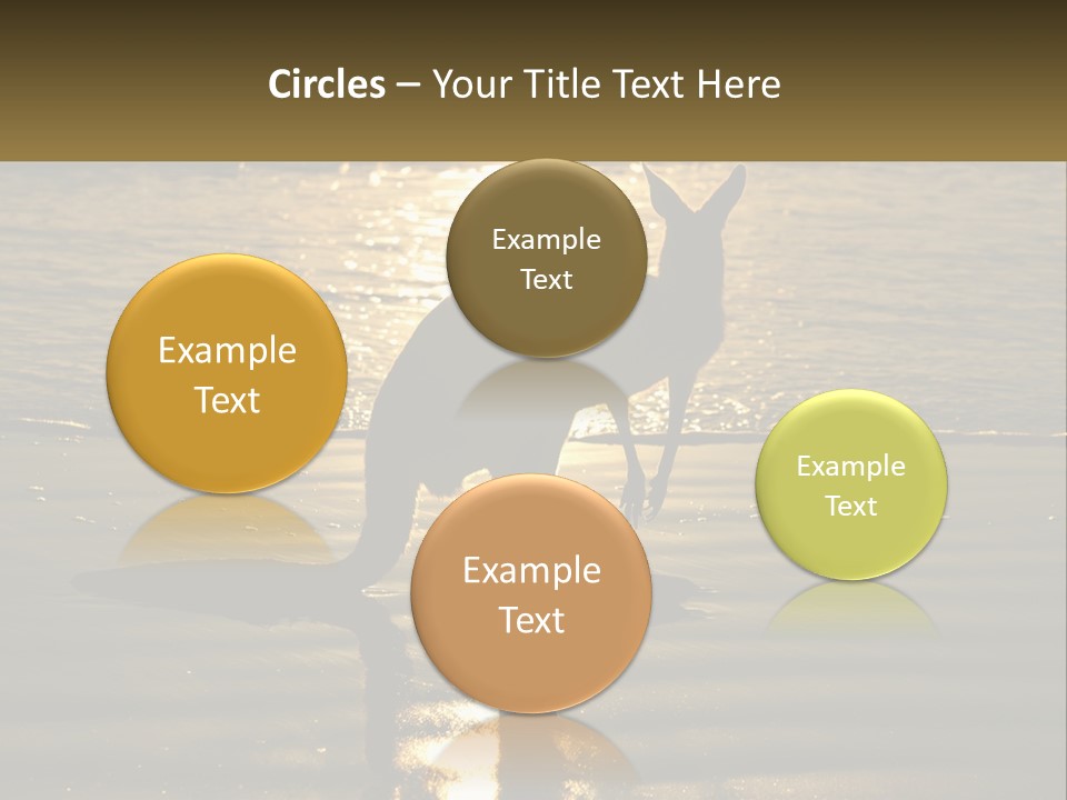 A Kangaroo Standing On A Beach At Sunset PowerPoint Template