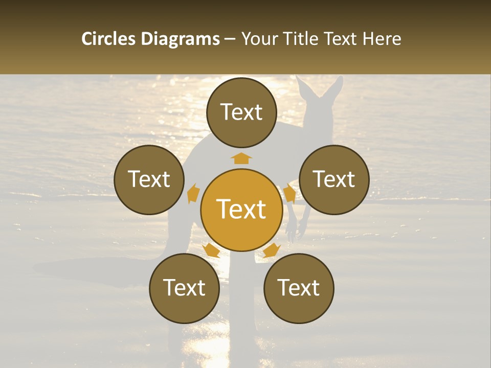 A Kangaroo Standing On A Beach At Sunset PowerPoint Template