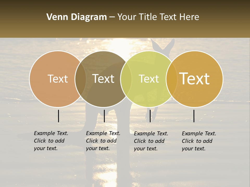 A Kangaroo Standing On A Beach At Sunset PowerPoint Template