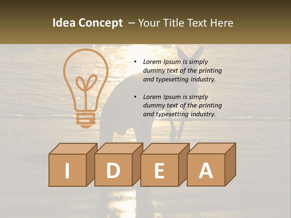 A Kangaroo Standing On A Beach At Sunset PowerPoint Template