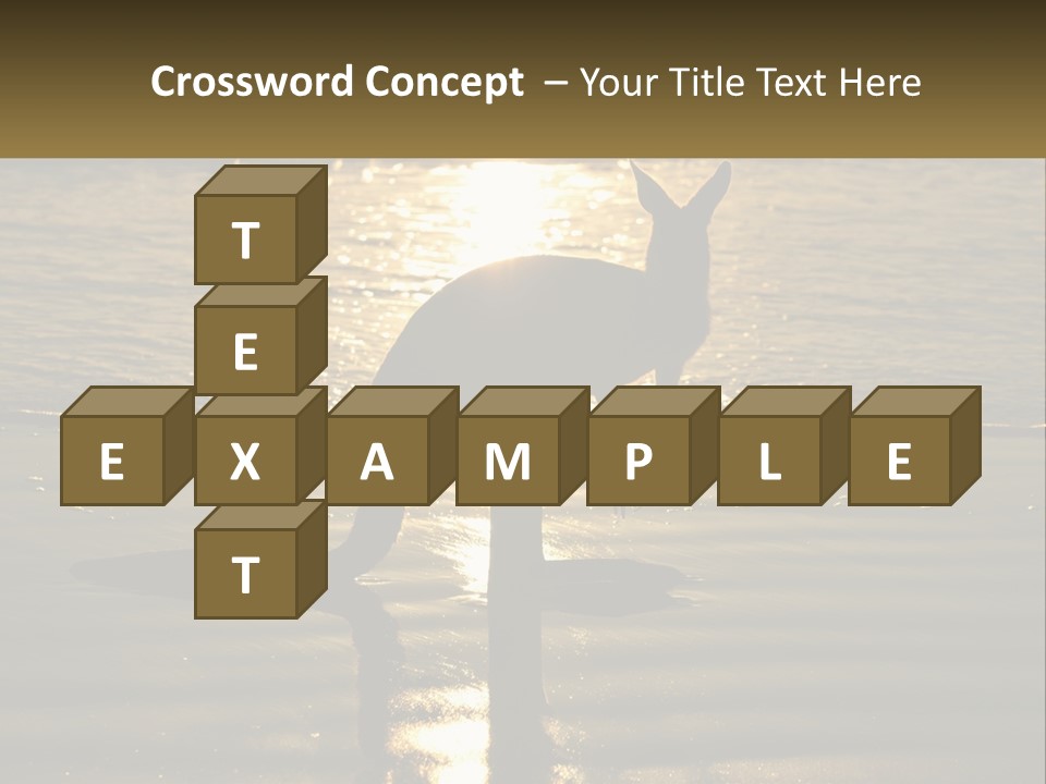 A Kangaroo Standing On A Beach At Sunset PowerPoint Template