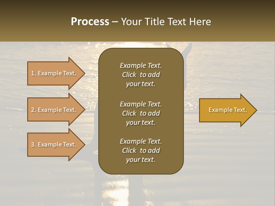 A Kangaroo Standing On A Beach At Sunset PowerPoint Template