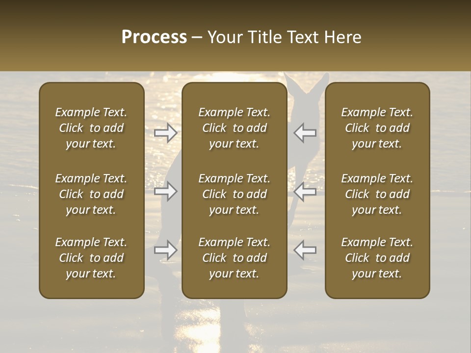 A Kangaroo Standing On A Beach At Sunset PowerPoint Template